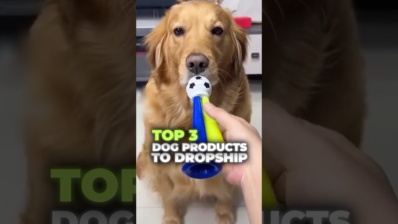 Top Pet Products to Dropship in 2025