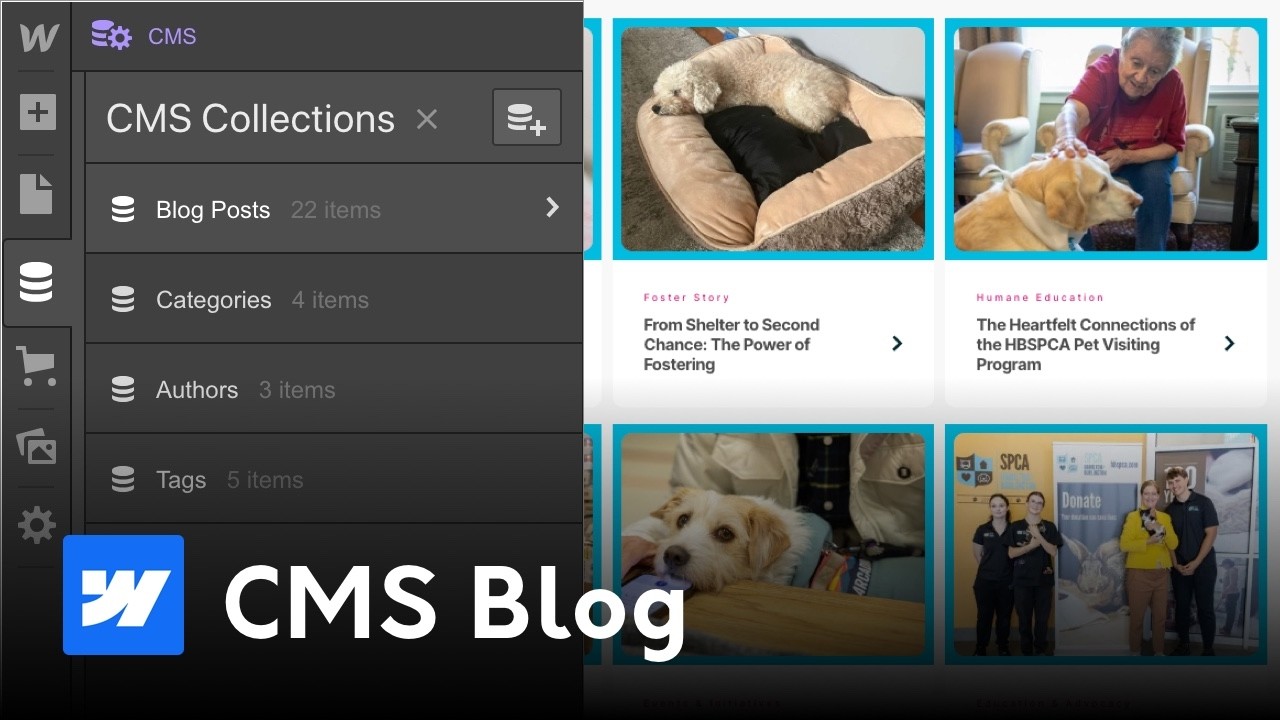 Build a Dynamic CMS Blog in Webflow (Full Tutorial 2025) | Step-by-Step Guide